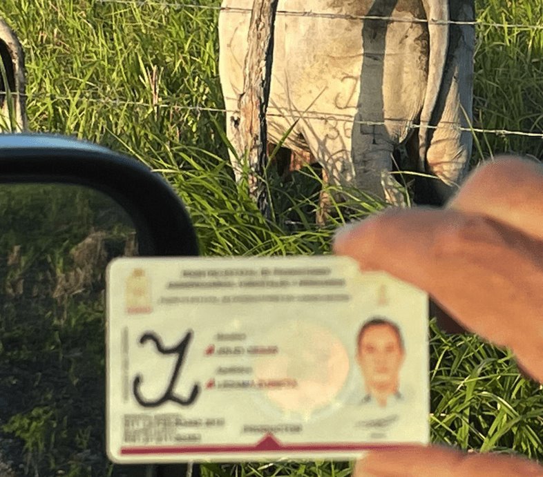 Exhiben presunto montaje de la Fiscalía de Tabasco, contra ganaderos de Jonuta Exhiben presunto montaje de la Fiscalía de Tabasco, contra ganaderos de Jonuta