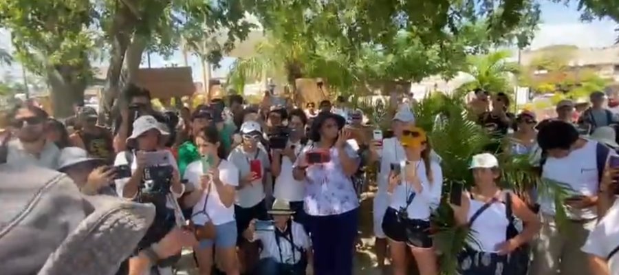 Activistas denuncian destrucción de manglares por obras ligadas al Tren Maya