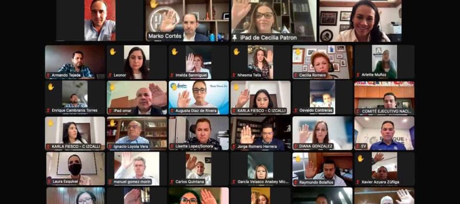 Por “falta de idoneidad de los perfiles”, PAN rechaza proceso de selección de consejeros del INE