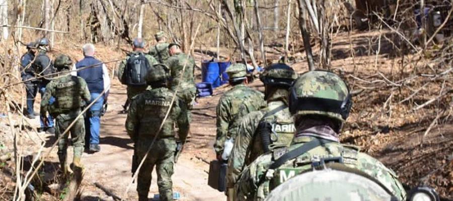 Desmantelan 8 laboratorios clandestinos en Sinaloa; aseguran 17 toneladas de drogas