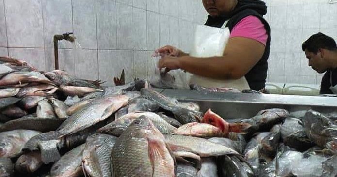 Suspende Cofepris Tabasco 3 establecimientos de pescados y mariscos Suspende Cofepris Tabasco 3 establecimientos de pescados y mariscos