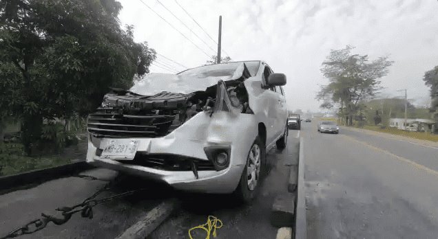 Atropellan a semoviente en la Teapa-Villahermosa y vecinos aprovechan a destazar al animal