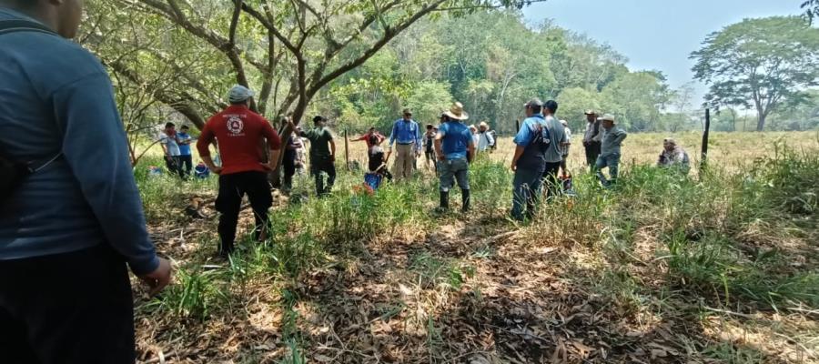 Incendio arrasa 30 hectáreas del Cerro Poaná, incluyendo las reforestadas por Sembrando Vida: PC