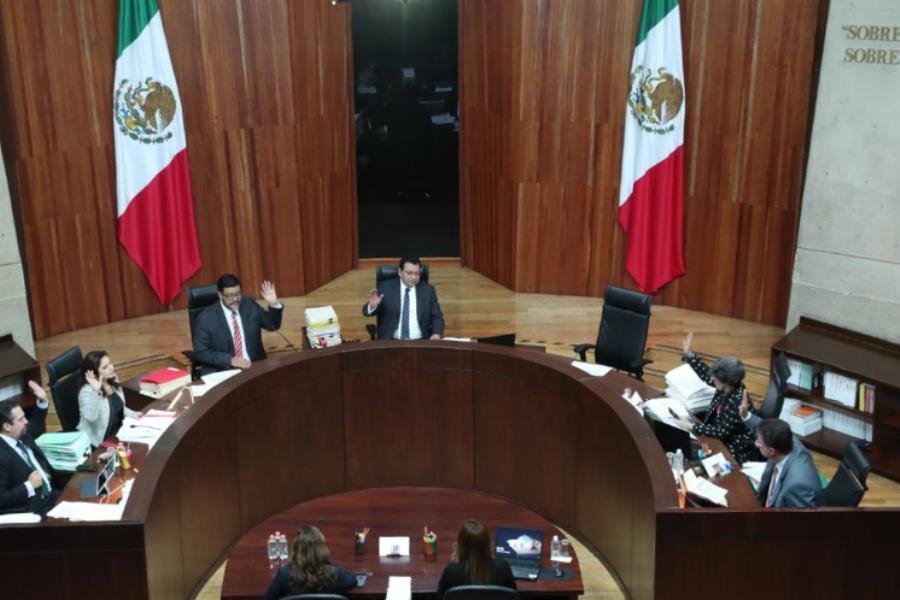Acusa Morena que el TEPJF es “feminista de ocasión”, luego de percibir violencia de género en dichos de AMLO Acusa Morena que el TEPJF es “feminista de ocasión”, luego de percibir violencia de género en dichos de AMLO