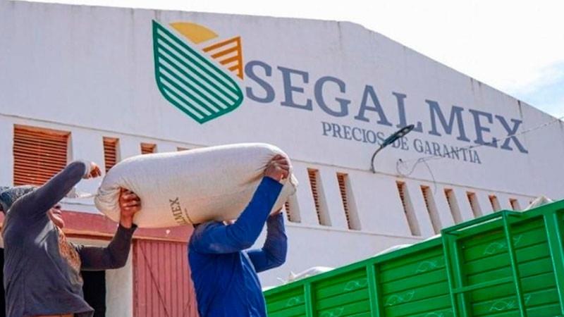 Liberan a empresario detenido por presunto desfalco en Segalmex