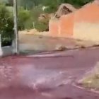 ¡Escalofriante! Captan a cadáveres flotando en el mar de Libia tras paso de ciclón “Daniel” ¡Escalofriante! Captan a cadáveres flotando en el mar de Libia tras paso de ciclón “Daniel”