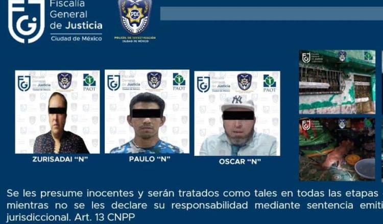 Detienen a 3 por maltrato animal en alcaldía Cuauhtémoc