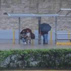 25 casas de Tapijulapa afectadas por incremento del río Oxolotán 25 casas de Tapijulapa afectadas por incremento del río Oxolotán