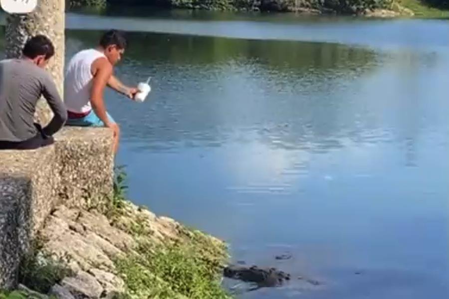 Joven intenta “pescar” cocodrilo en laguna de Las Ilusiones con chancla