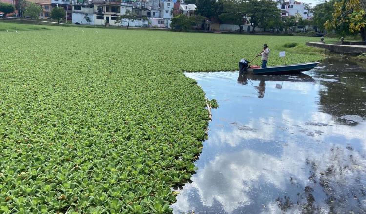 Con tecnología japonesa sanearán laguna El Jícaro en Centro