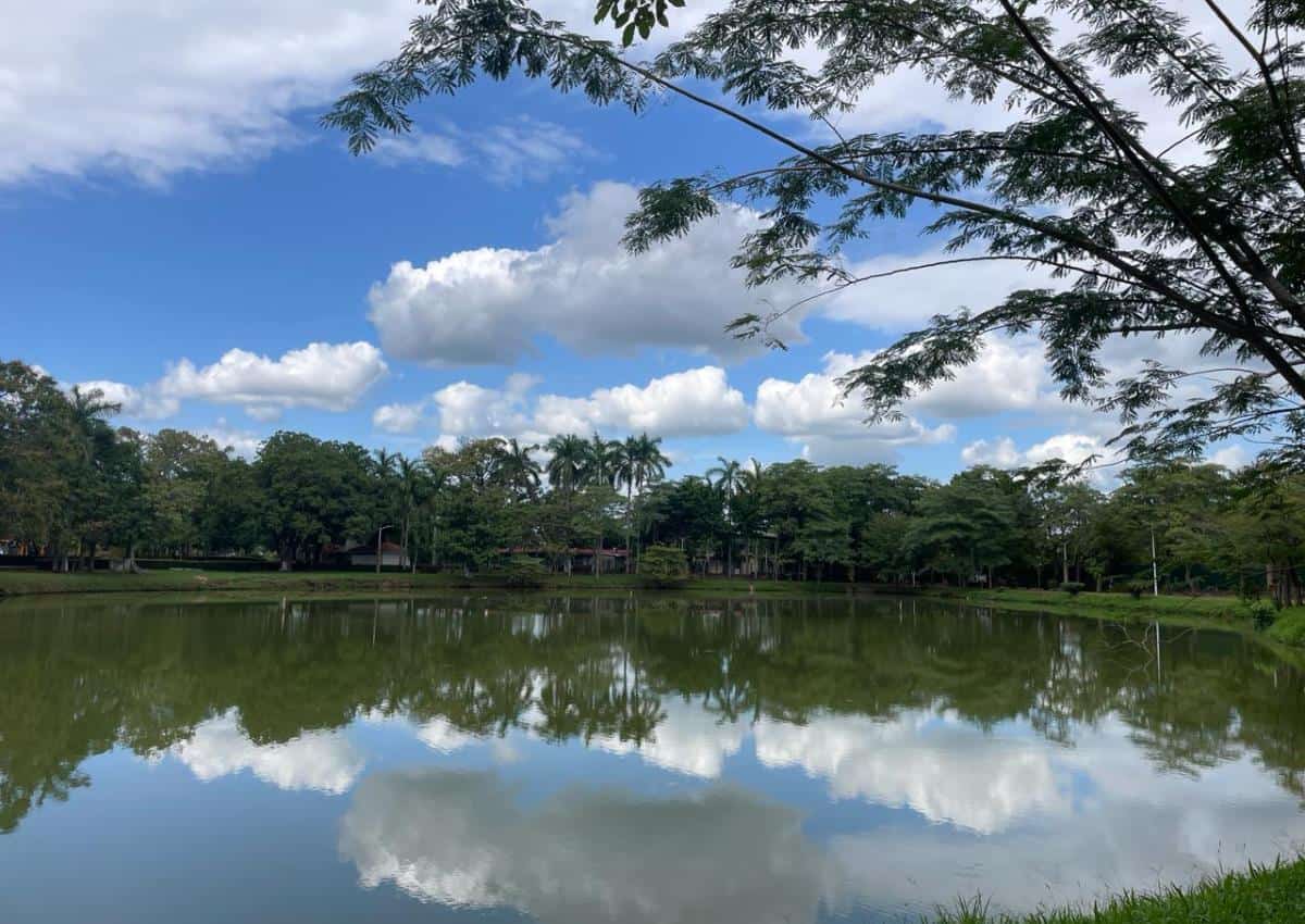Día soleado y caluroso para este jueves, prevé Conagua