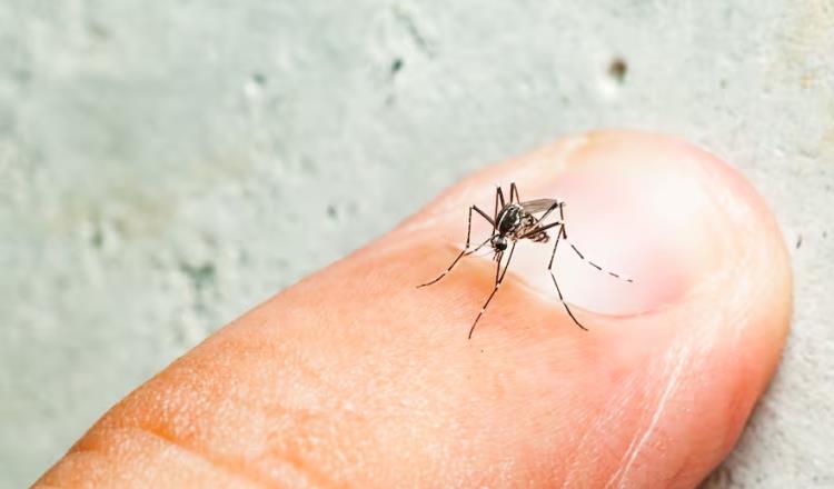 Clasifican como zona de epidemia por dengue a 2 municipios de Michoacán