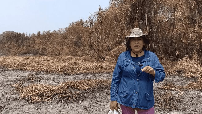 Incendio devasta 70% de UMA Bioparque Saraguatos en Centro