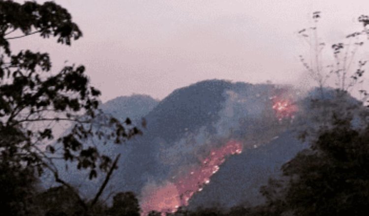 Tabasco a punto de superar el total de incendios de 2023: Protección Civil