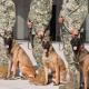 Reconoce Semar labor de sus elementos caninos Eden, Enry y Eska, durante ceremonia de jubilación