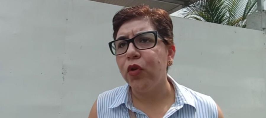 Defender “Plan C” será la consigna de los diputados federales por Tabasco, afirma Tey Mollinedo 