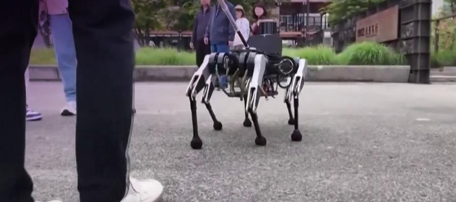 Robot de 6 patas podría ayudar a que pcd visual accedan a perro de servicio en China