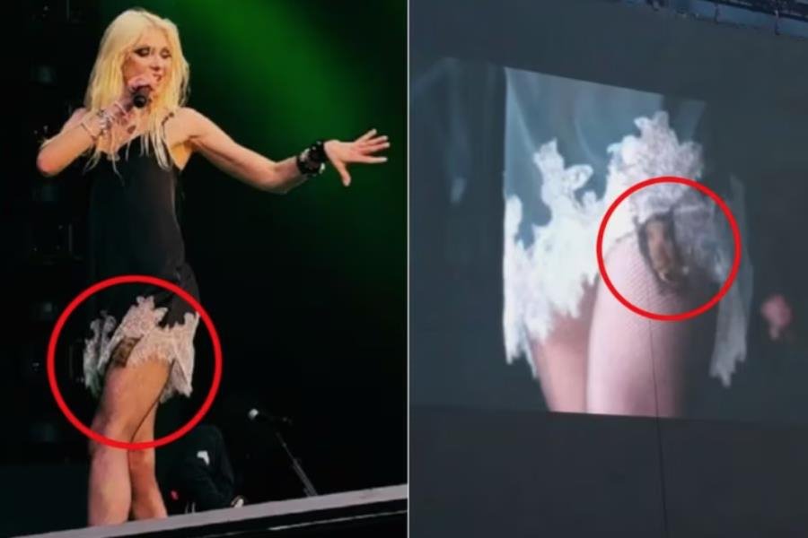 Taylor Momsen es mordida por murciélago en pleno escenario