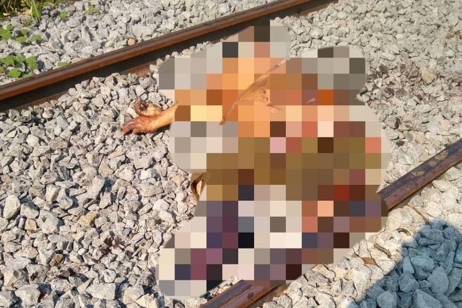 Fallece hombre tras ser arrollado por Tren Interoceánico en Macuspana