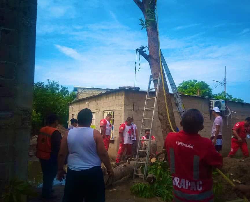 Hombre se desmaya cuando cortaba ramas de árbol en Cárdenas