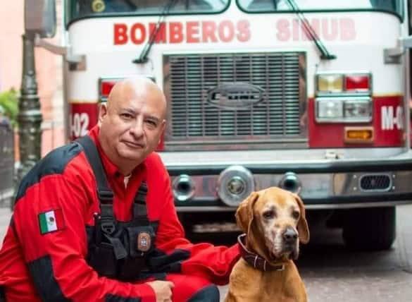 Fallece “Titán”, perro rescatista que salvó a decenas de personas en el sismo del 2017