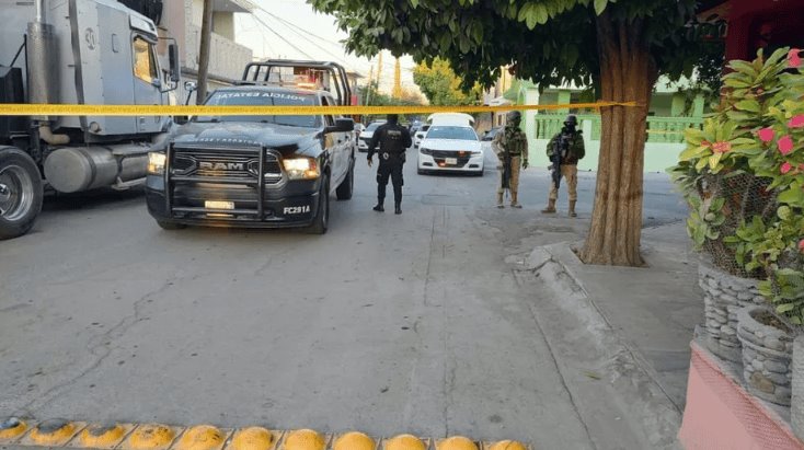 Aseguran drogas, armas y animales exóticos en cateo de inmuebles en Nuevo León