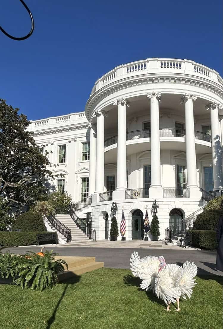 Biden indulta a los pavos Peach y Blossom, previo al Día de Acción de Gracias