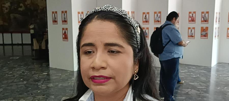 Operativos de seguridad rebasados por la delincuencia: Claudia Gómez