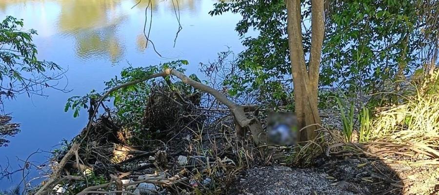 Hallan sin vida a pescador a orillas del río Mezcalapa en Sabina