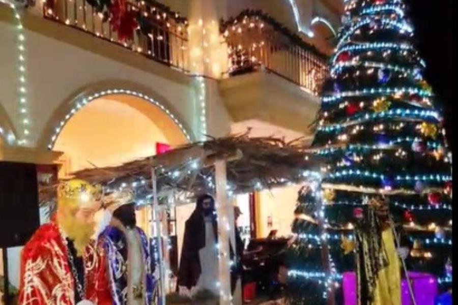 Se viraliza pino navideño elaborado con hojas de palma de coco en Veracruz