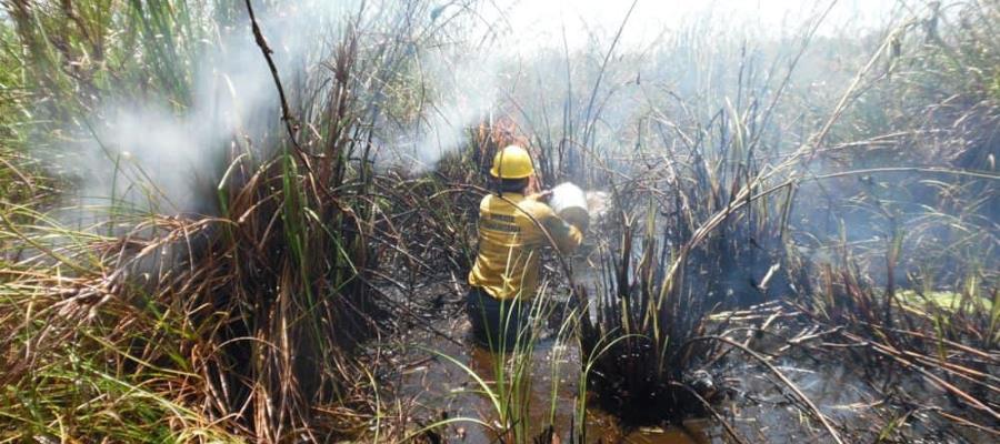 Amplían operación de brigadas contra incendios en Pantanos de Centla