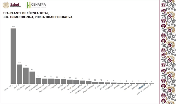 imagen-cuerpo