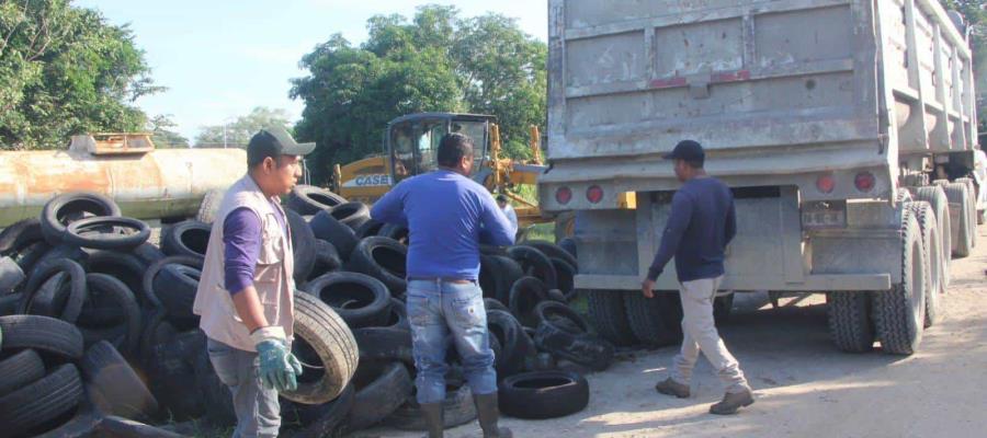 Recolectan más de 18 toneladas de llantas en Nacajuca