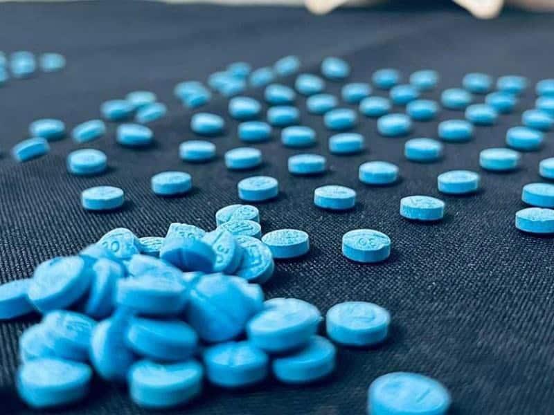 PAN exige a Sheinbaum reconocer problema de consumo de fentanilo en México