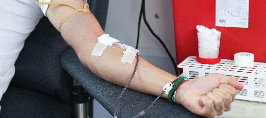 Requiere Leonardo donadores de sangre para luchar contra la leucemia