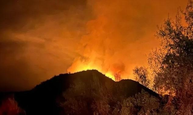 Reportan más de 300 hectáreas consumidas en incendio forestal en Ensenada, BC