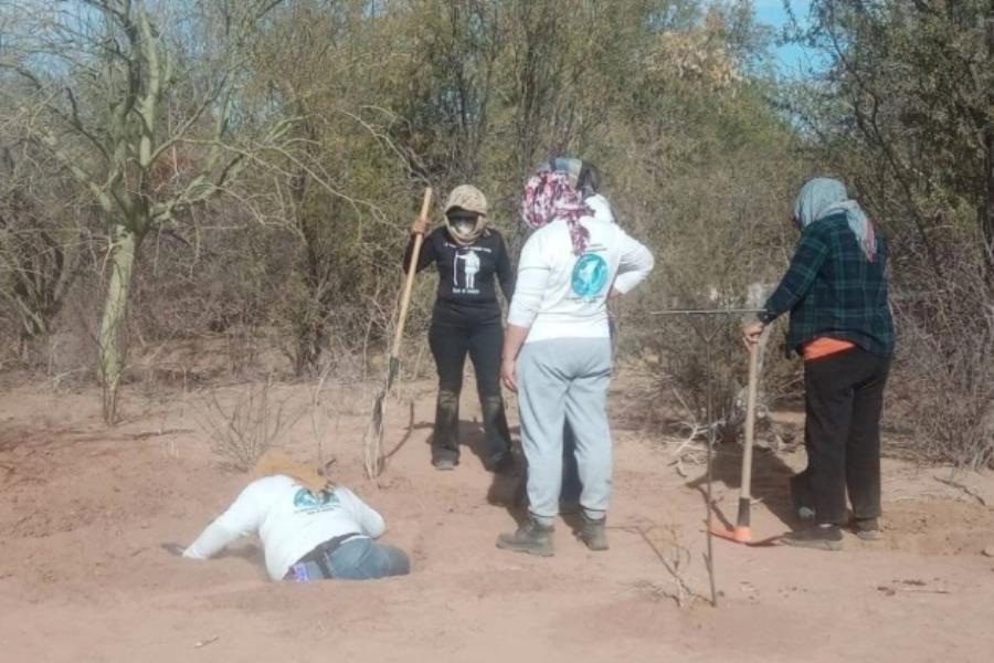 Localizan madres buscadoras 53 osamentas en fosas clandestinas en Sonora