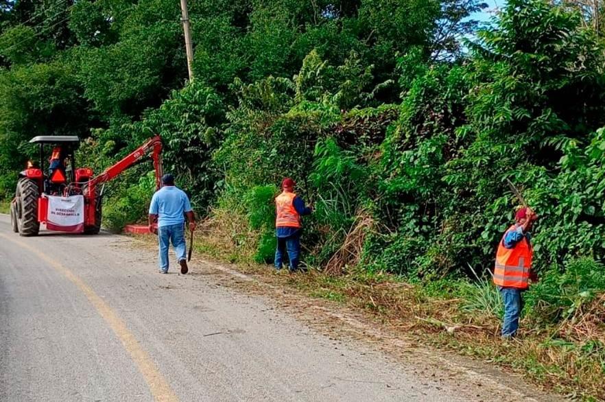 Continúan trabajos de limpieza de maleza en carreteras de Centro: Osuna