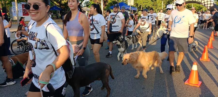 Más de 400 perritos participan en la 5ta Caninata y primer Pe-Run de Caninos 911