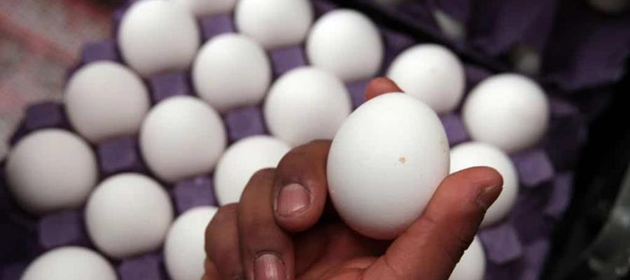 Precio de la docena de huevos rompe récord en EE. UU.; llega a casi 5 dólares