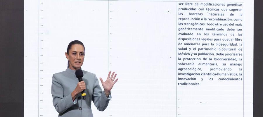 Insiste Sheinbaum en demanda civil contra Google por renombrar al Golfo de México