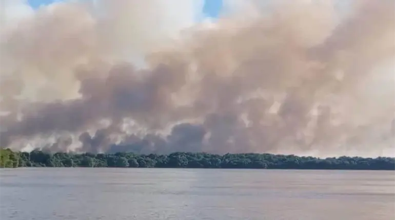 Tres incendios forestales activos en Tabasco, reporta Conafor