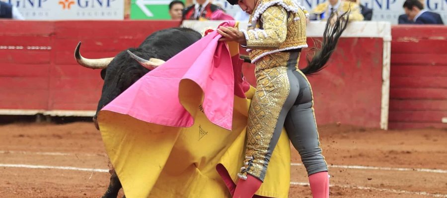 Comisión del Congreso de la CDMX aprueba corridas de toros sin violencia