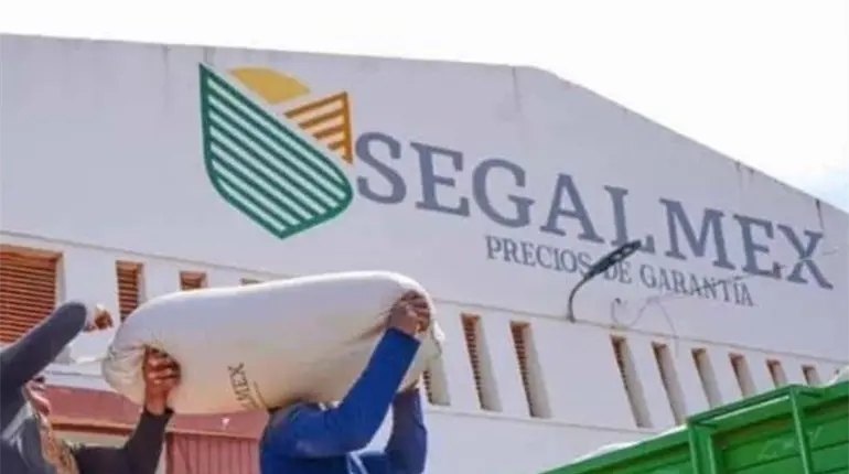 Compromete Sheinbaum transparentar procesos por irregularidades en Insabi y Segalmex