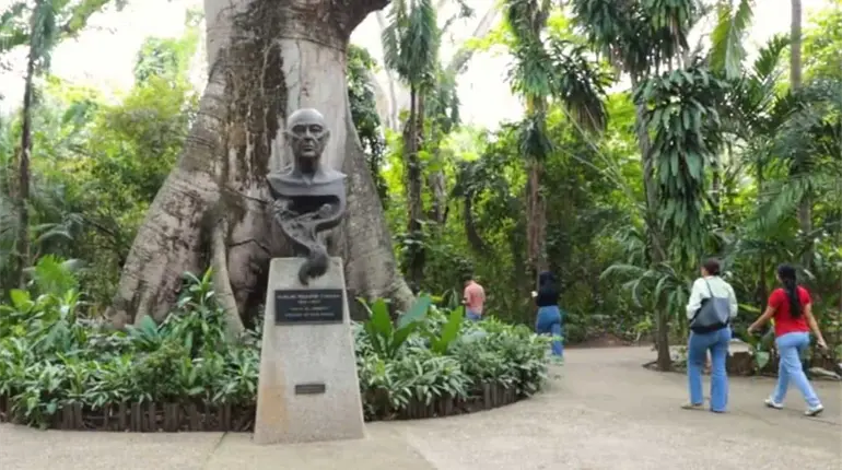 Rehabilitación del Museo La Venta arrancaría en 2026: Cultura