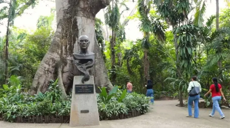 A no confiarse, llama Landy Palafox ante anuncio de May para rehabilitar el parque museo La Venta