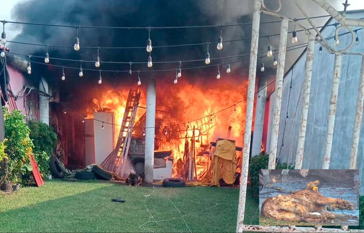 Muere perrito tras incendio de bodega en Aguasol, Cárdenas