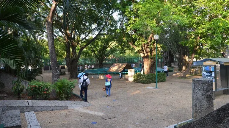 Inconformes con Museo Olmeca ven “trasfondo” en donación de animales al Yumká