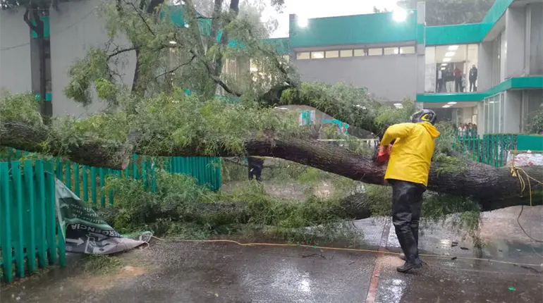 De nuevo la CDMX sufre de encharcamientos y árboles caídos por fuertes lluvias