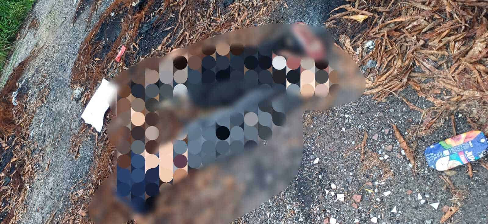 Localizan dos personas sin vida en carretera Villahermosa-Cárdenas